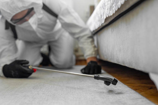 Professional Ant Control technician working in Laguna Heights, TX