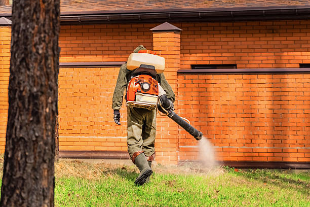 Trusted Mosquito Control service in Laguna Heights, TX - Nex Pest Control
